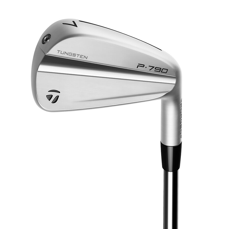 クラブ TaylorMade P-790 テーラーメイド 2025 P790 アイアン 5本セット (#6/#7/#8/#9/PW) N.S. クラブ