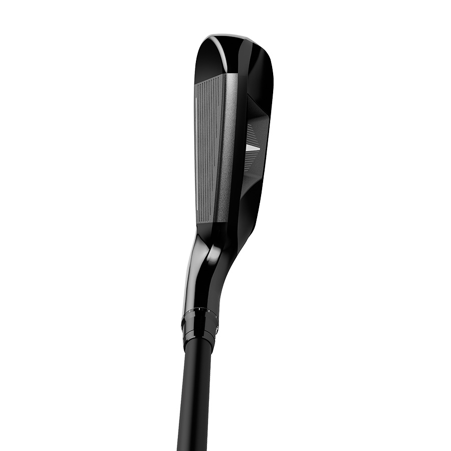 AL169_zoom_D2.jpg